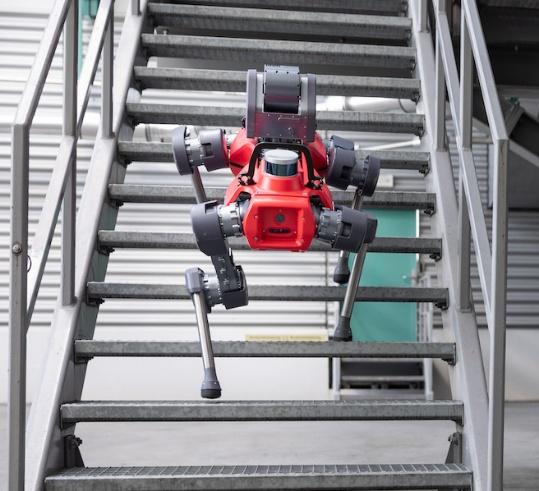 An ANYbotics quadruped walking down the stairs.